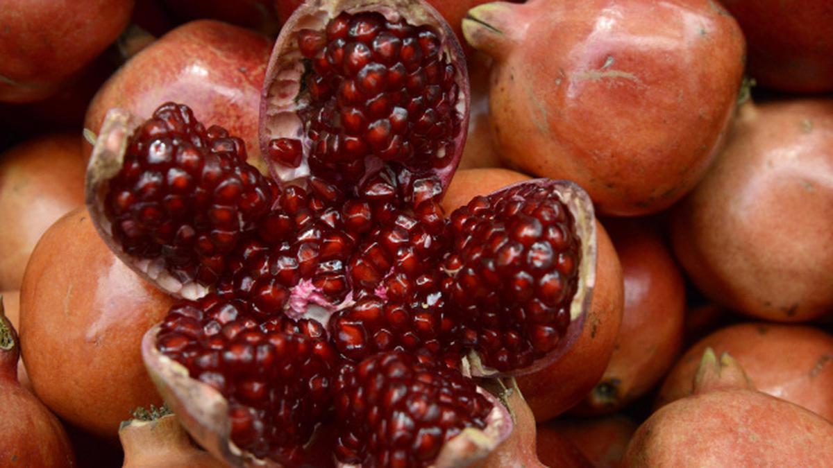 Kashmiri Pomegranate Fruit Plant
